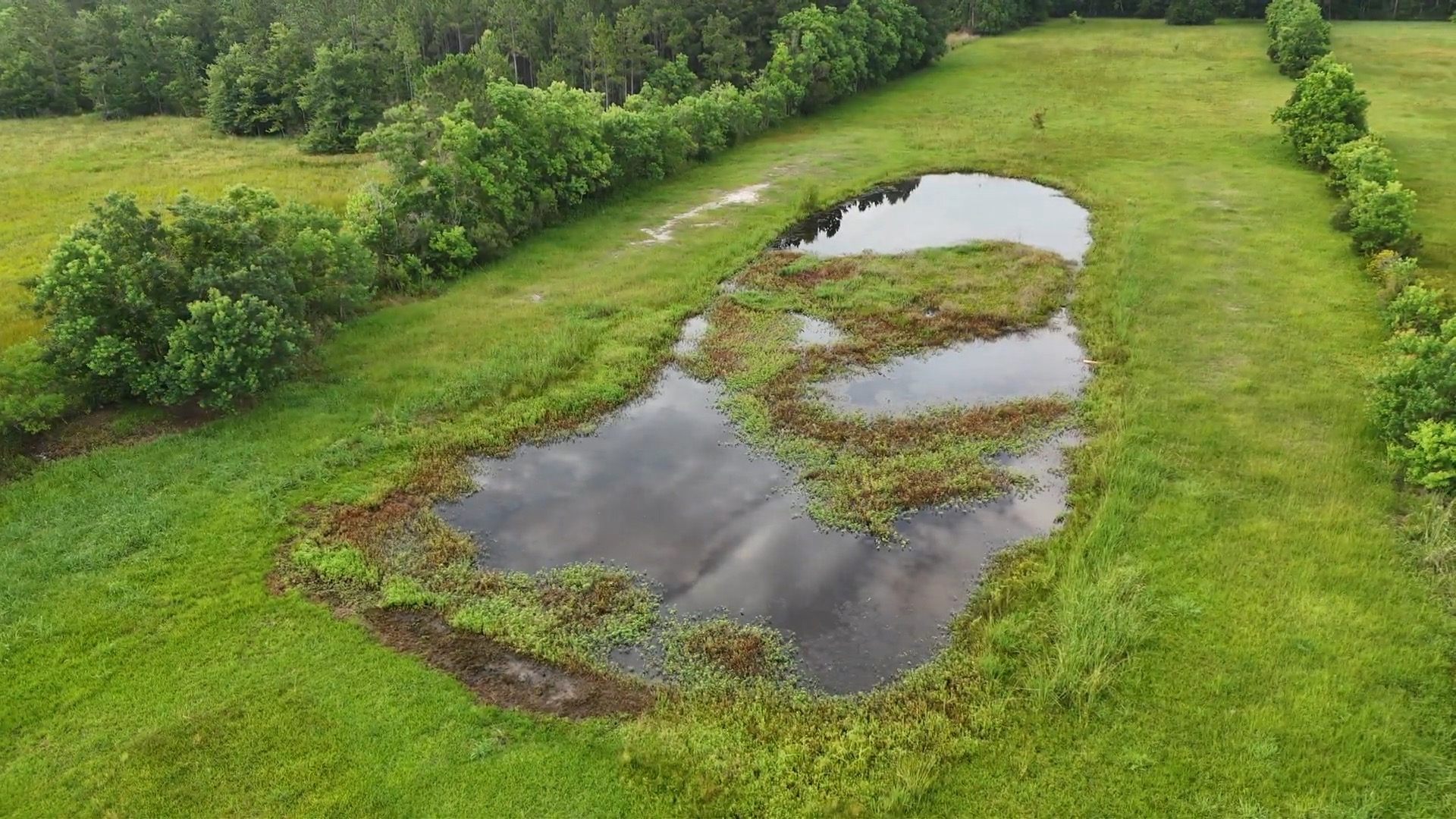 Pond Doctor project